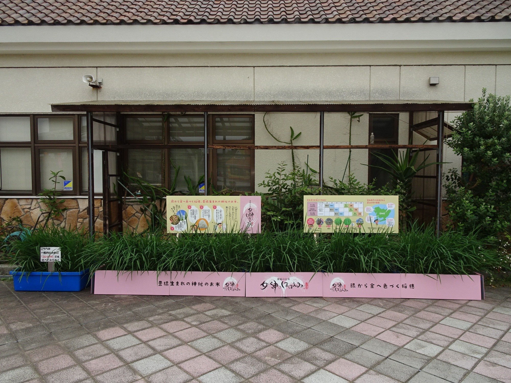 お知らせ