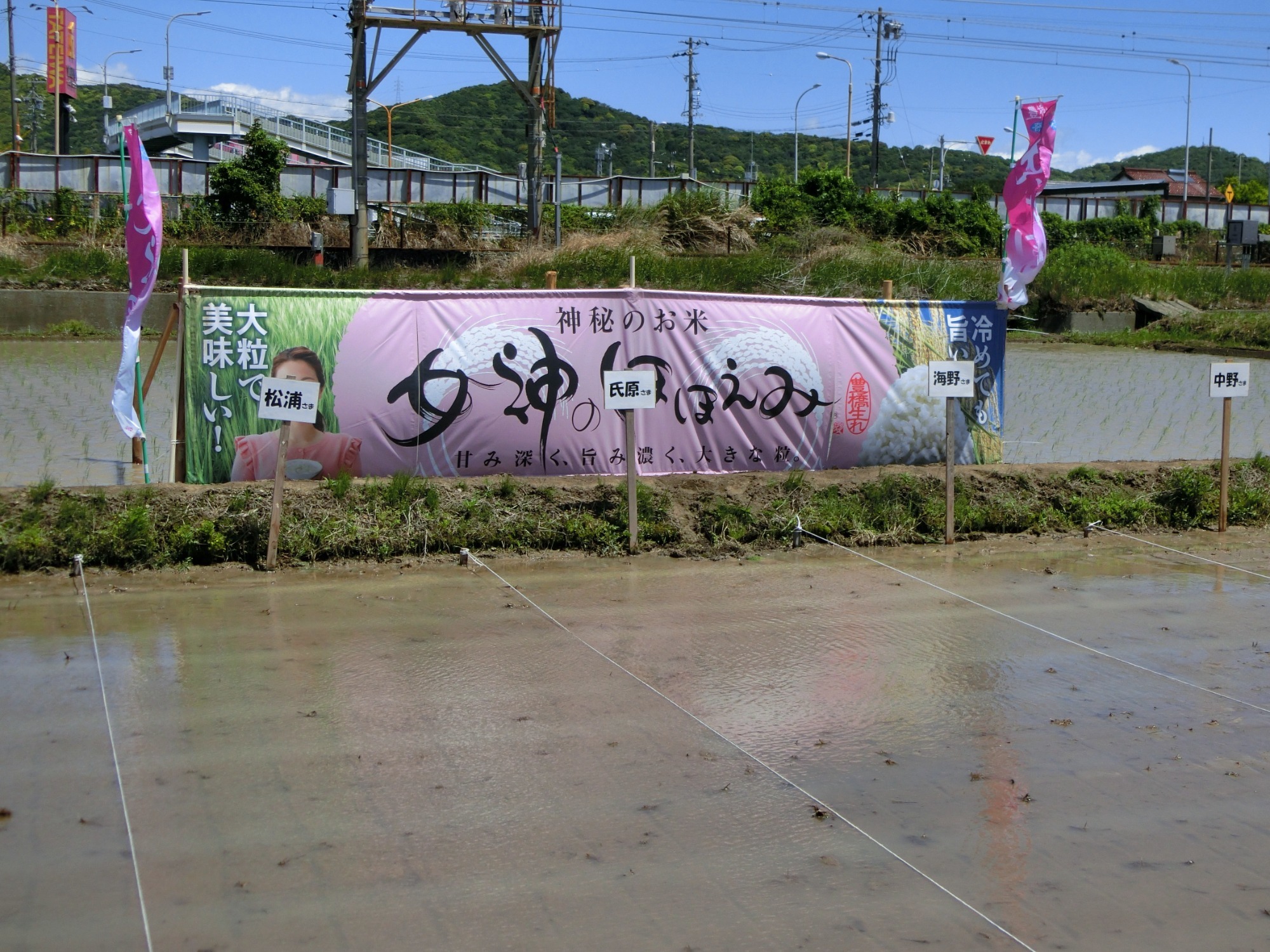 お知らせ