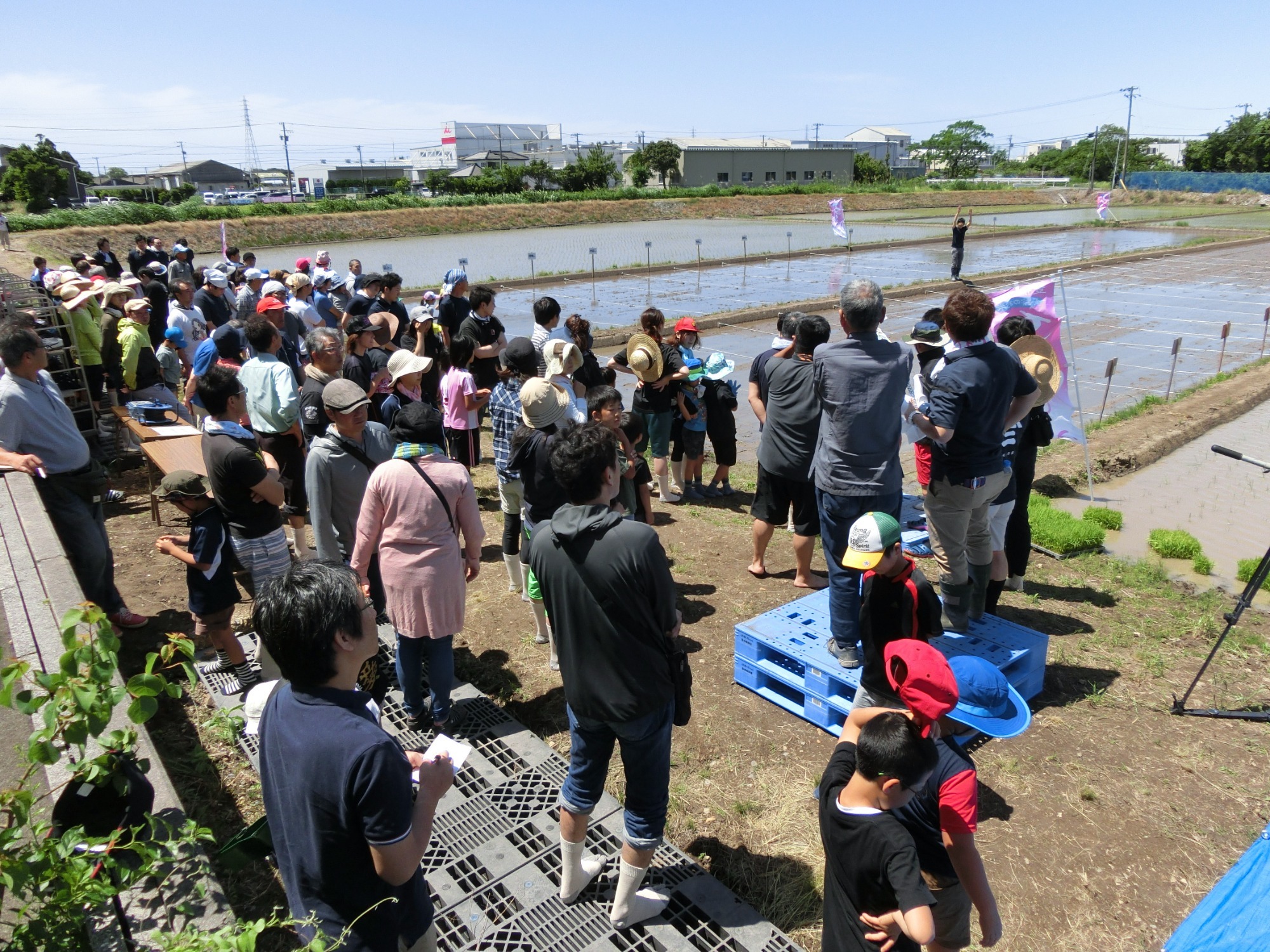 お知らせ