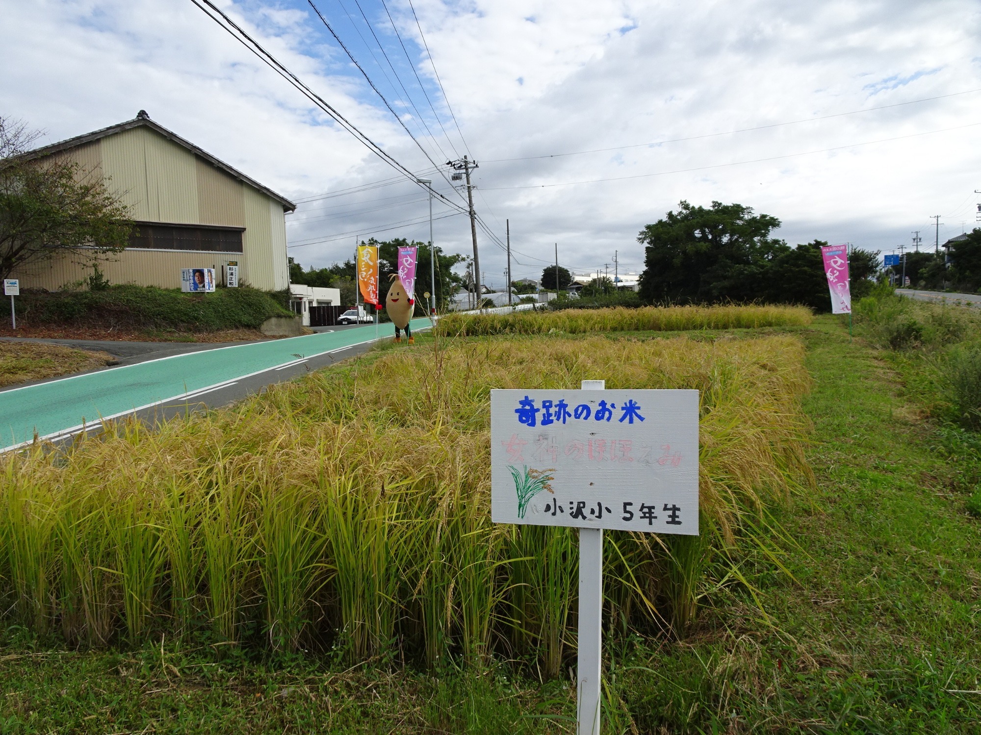 お知らせ