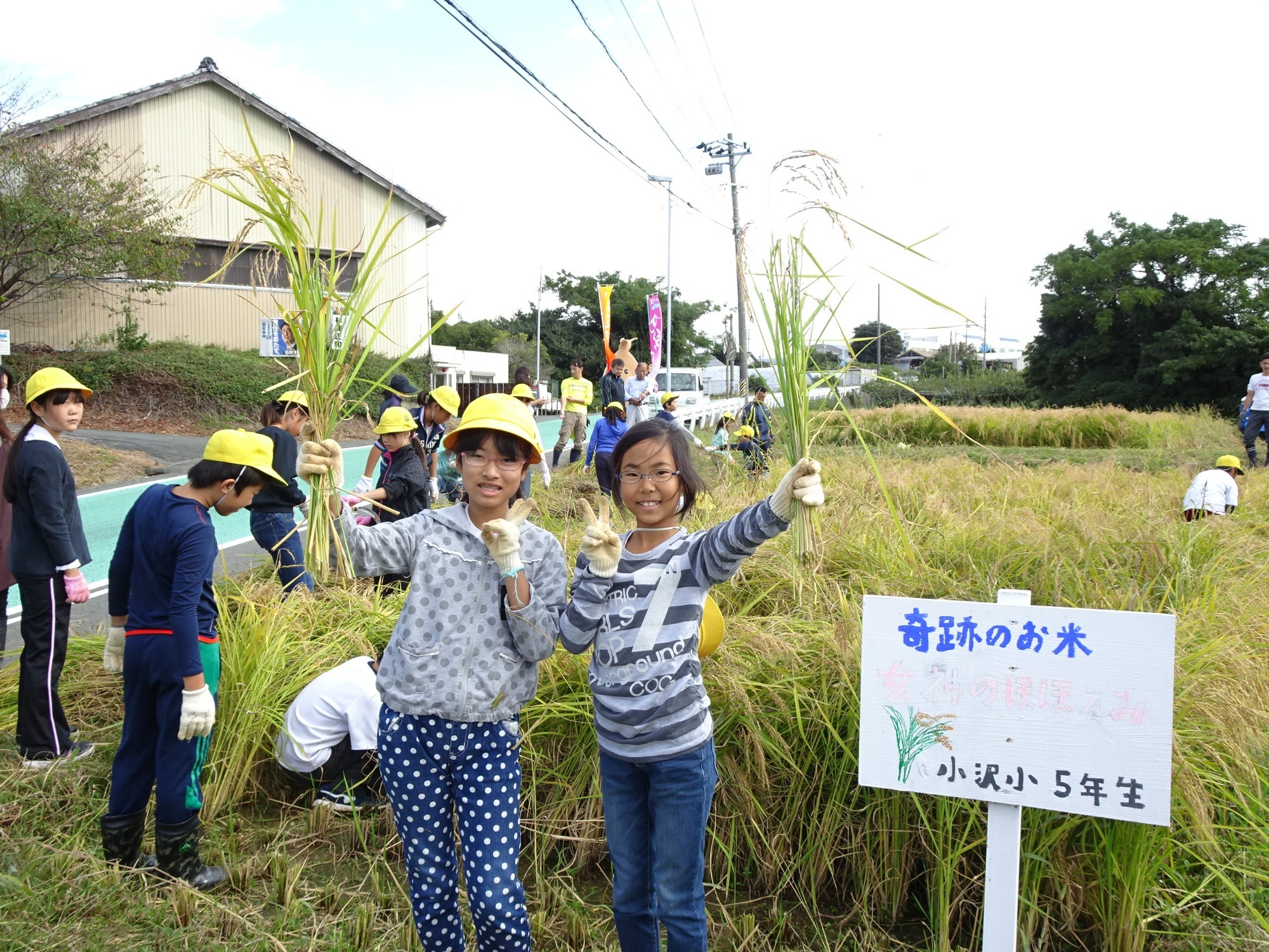 お知らせ