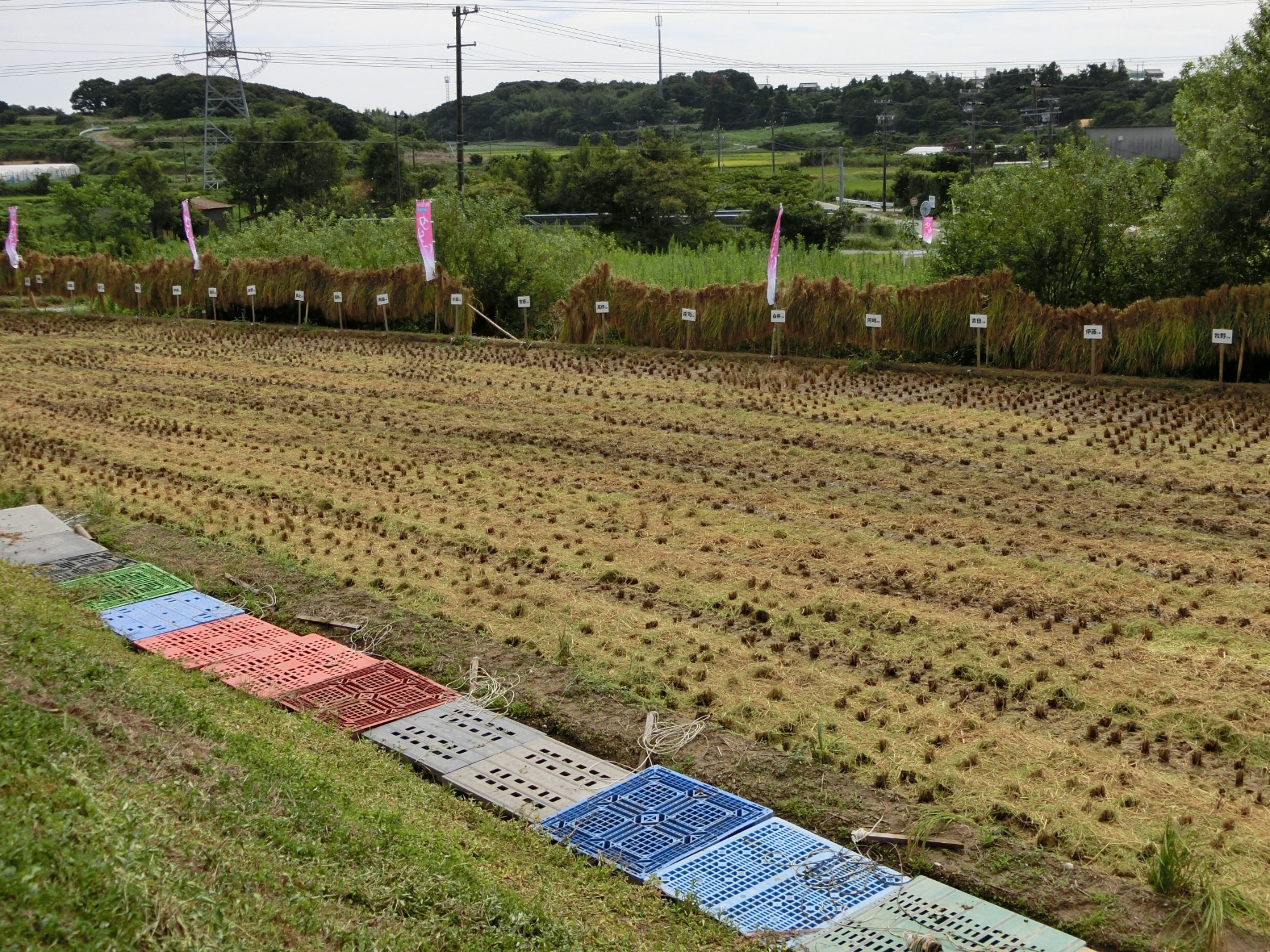 お知らせ