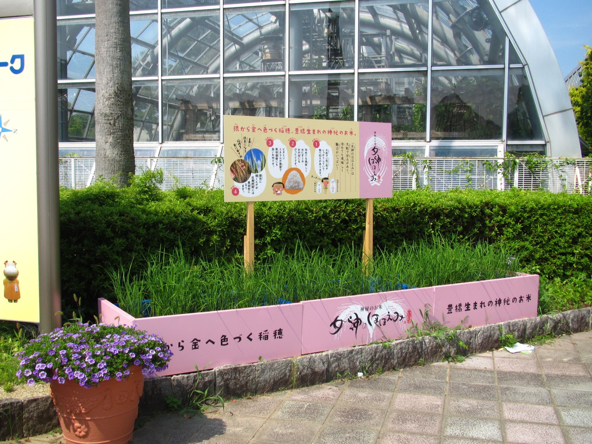 お知らせ