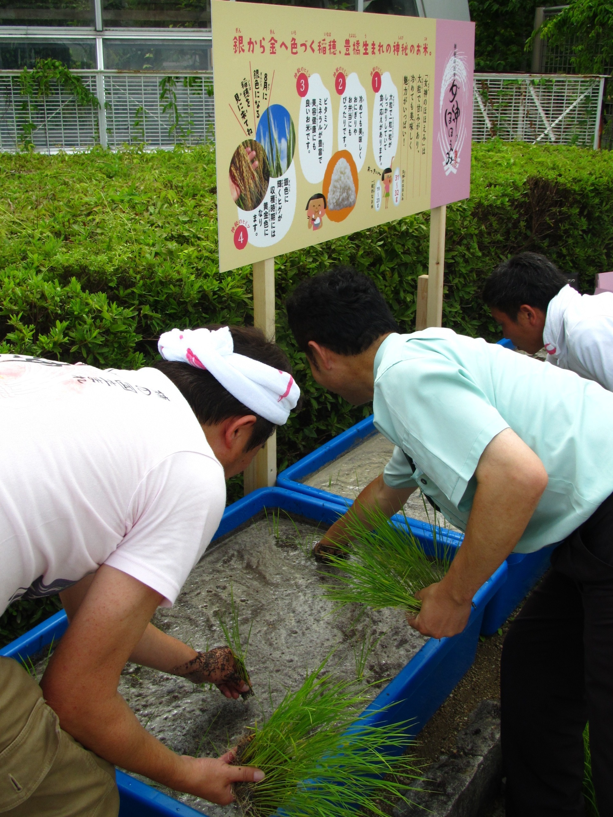 お知らせ