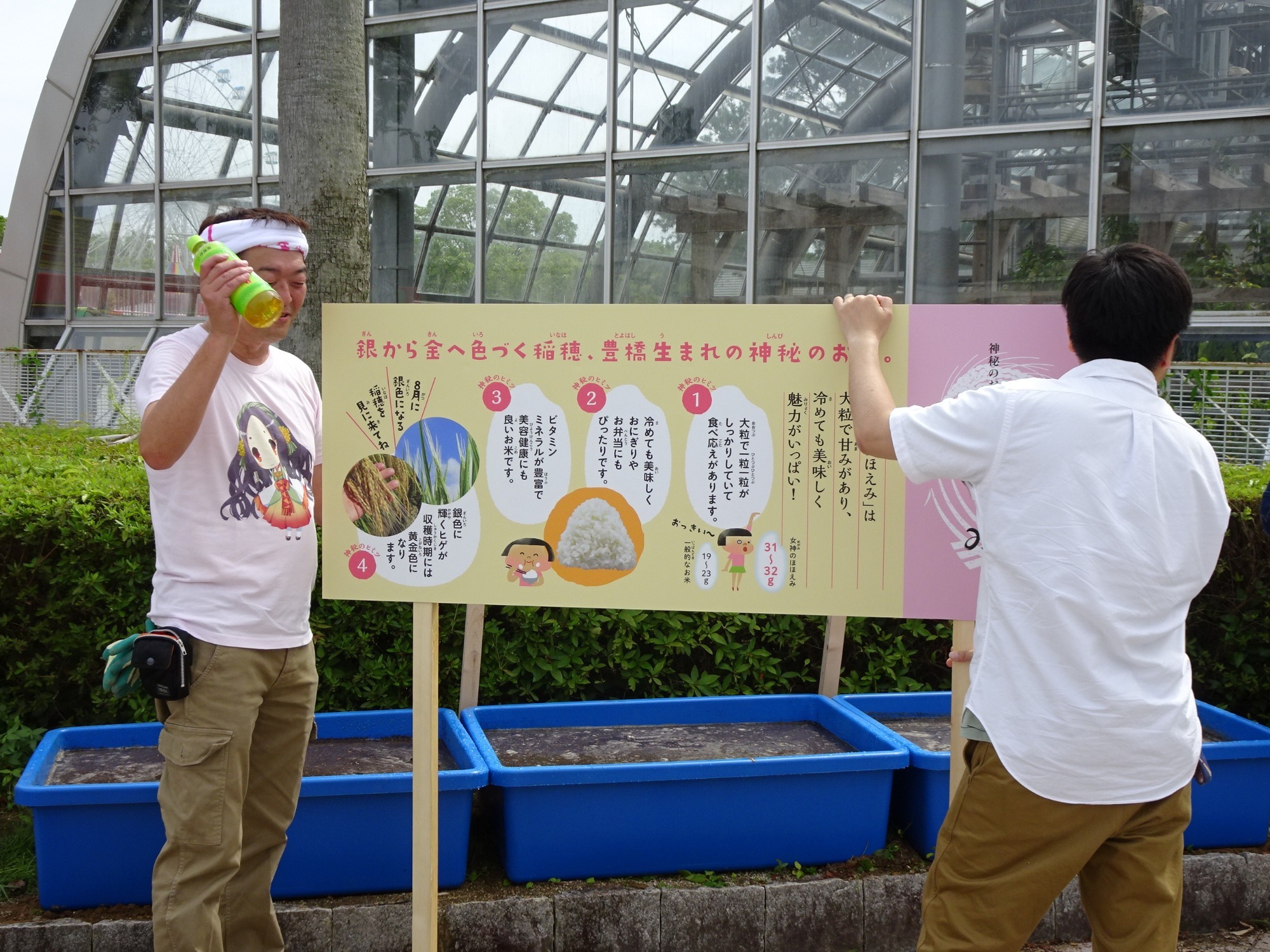 お知らせ