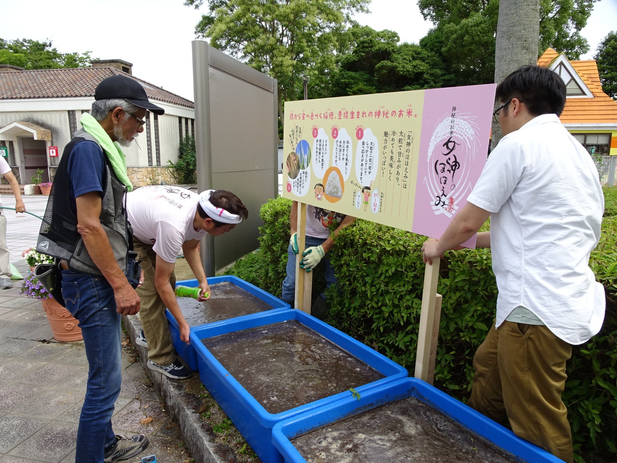 お知らせ