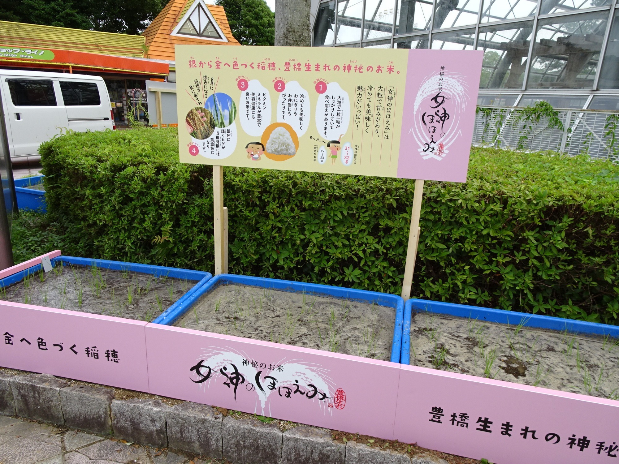 お知らせ