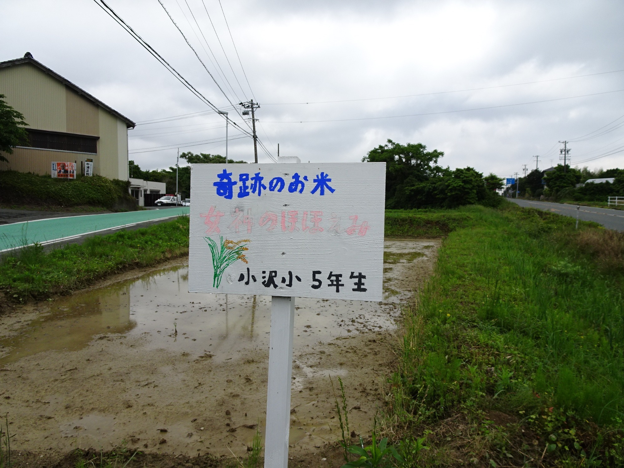 お知らせ