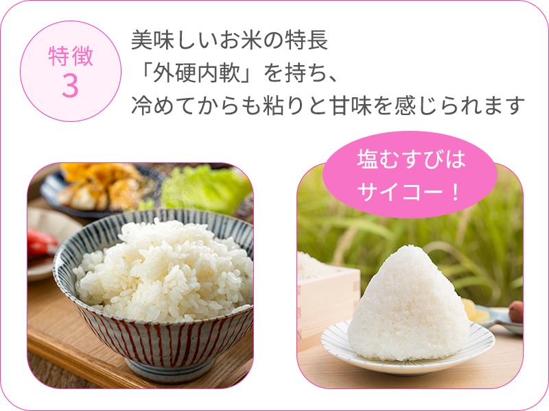 他のお米とは異なる特徴03