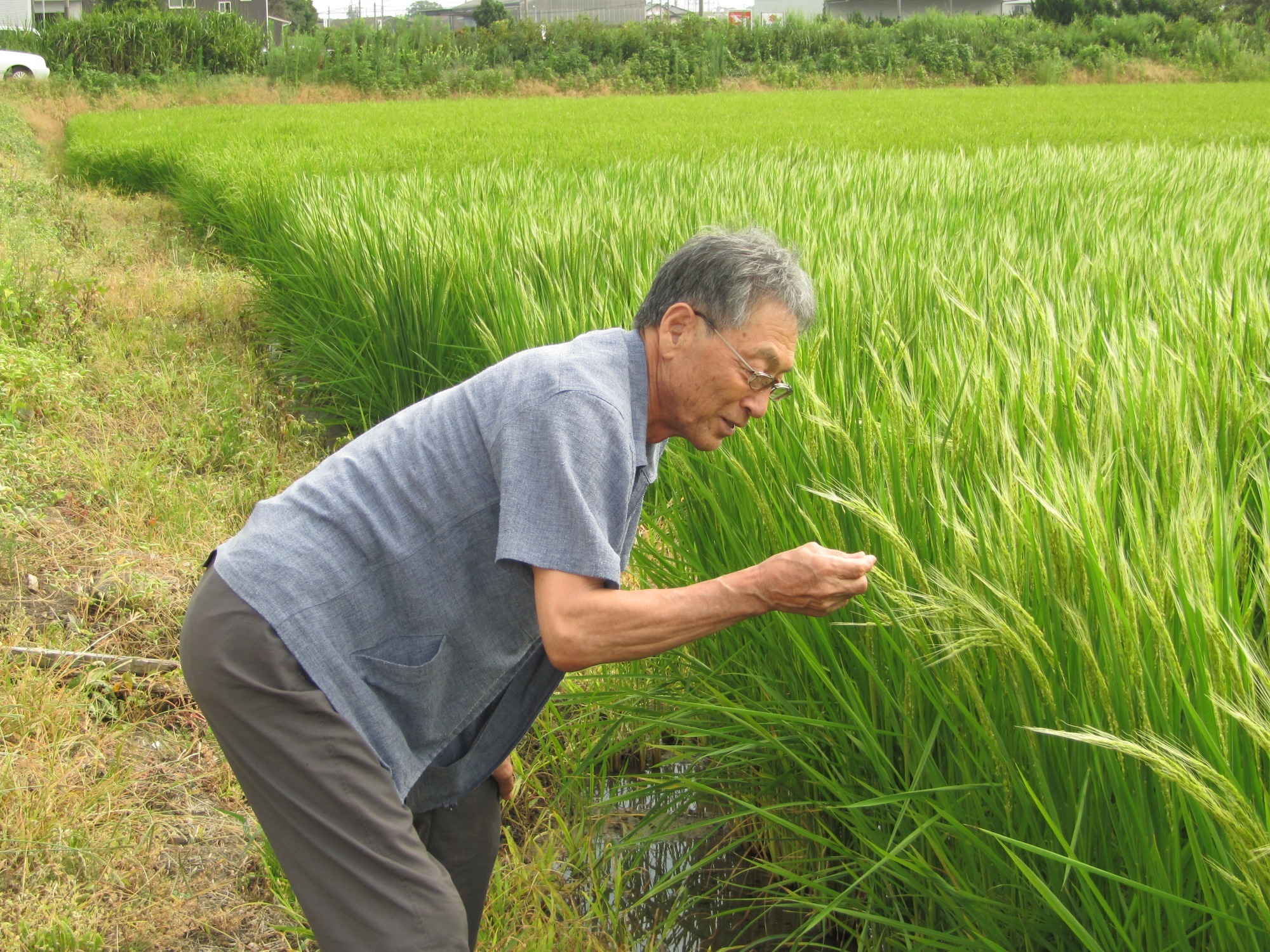 愛知県豊橋で発見！！
