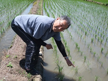 生育情報