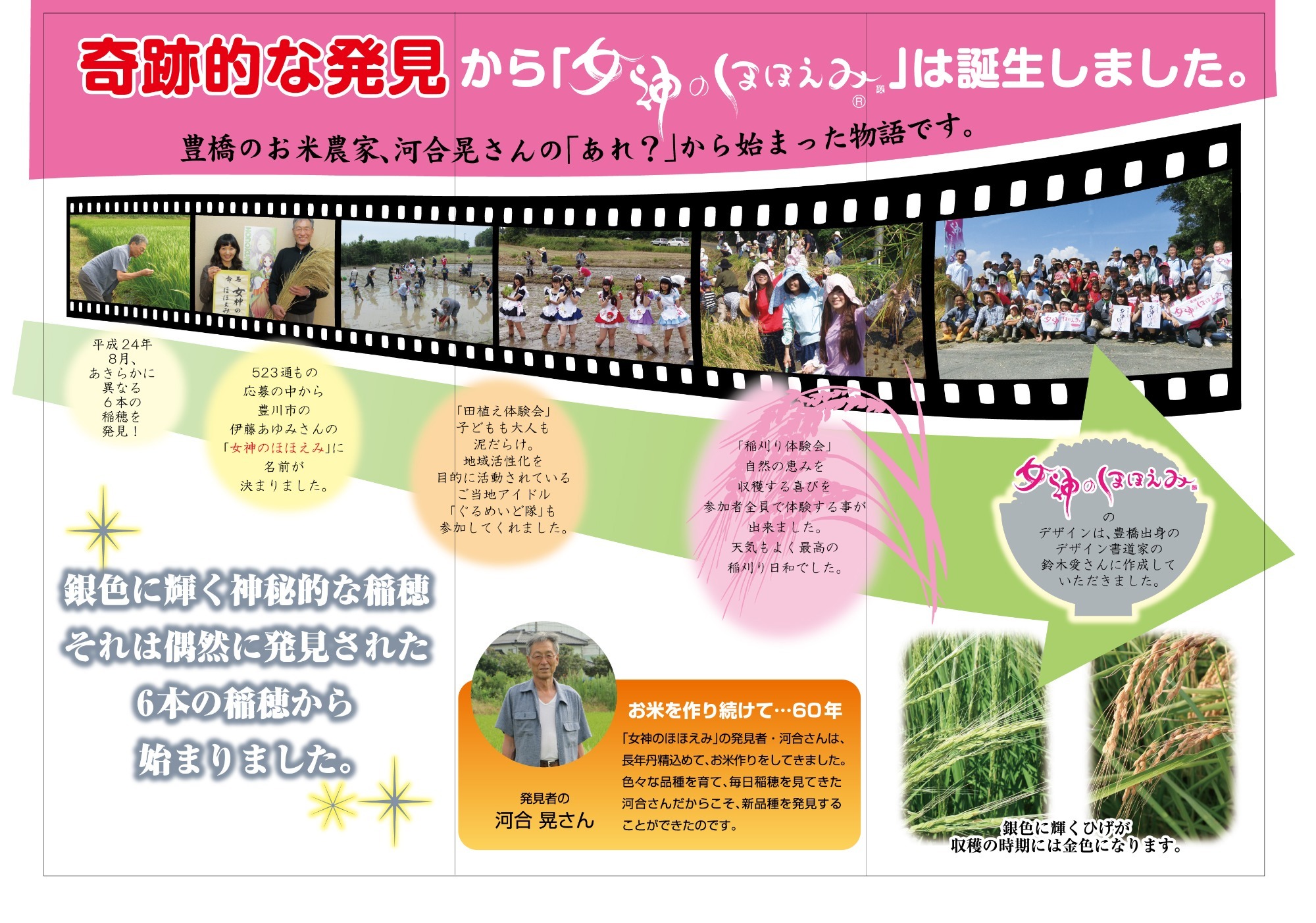 リーフレット