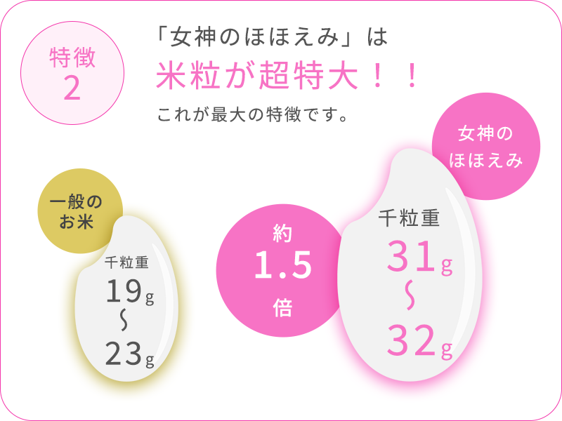 他のお米とは異なる特徴02