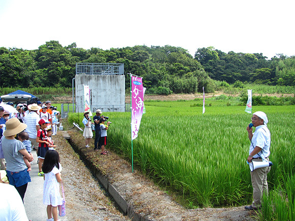 生育情報