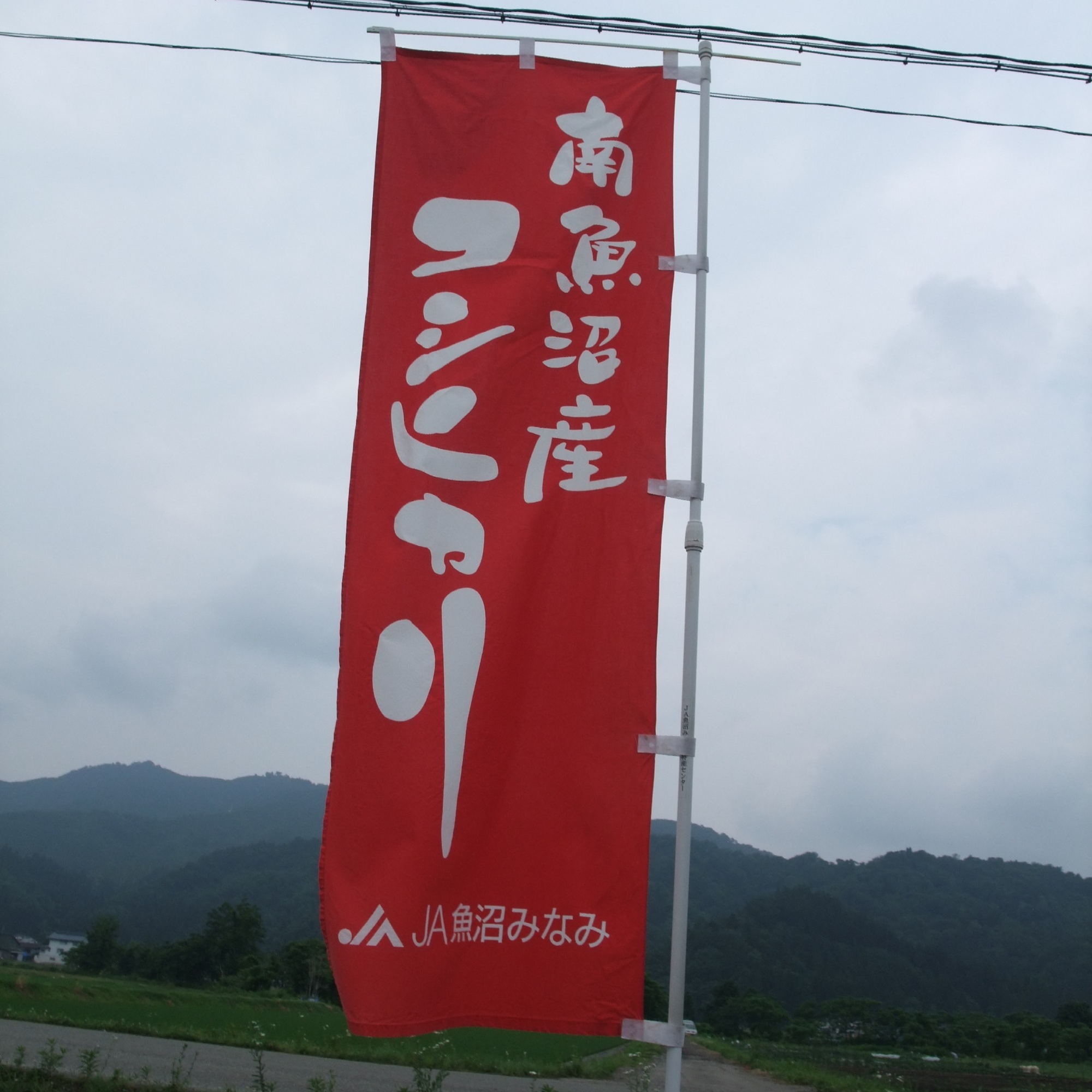 新潟県南魚沼市　魚沼コシヒカリ