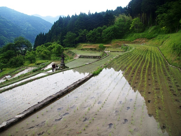 清流（水）へのこだわり