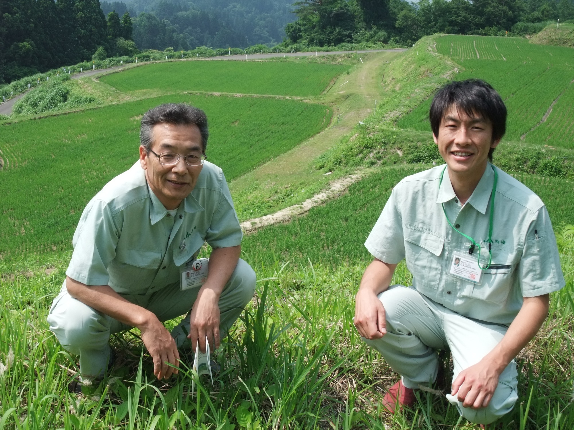 JA柏崎職員