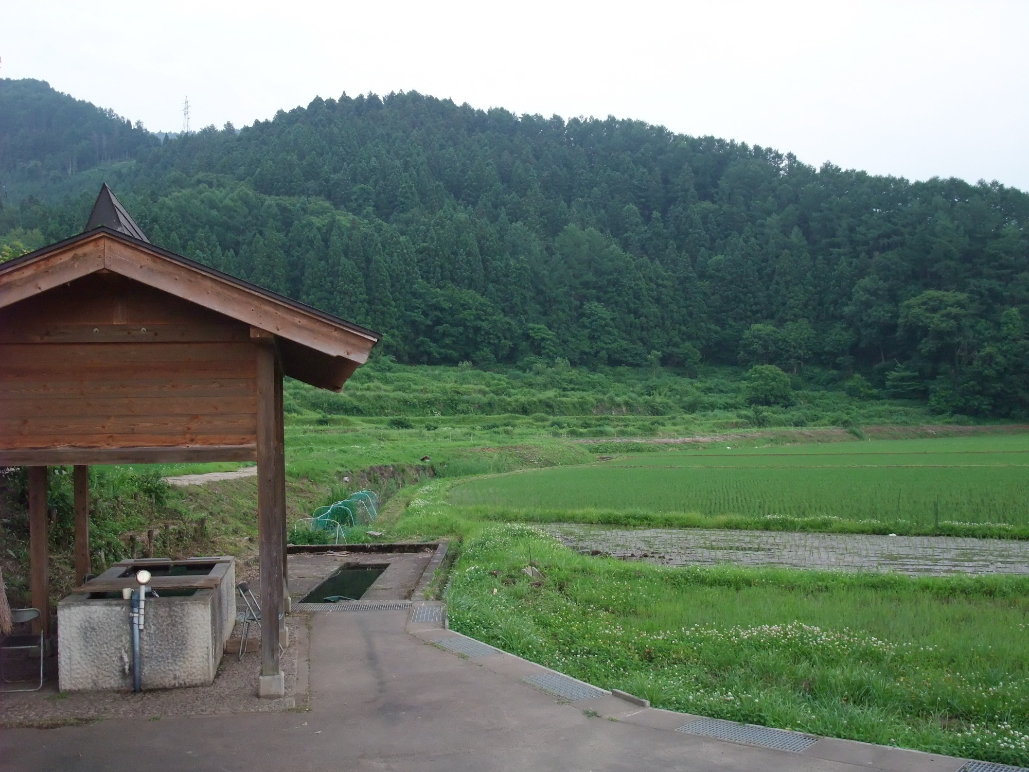 水源　湯殿山からの雪解け水