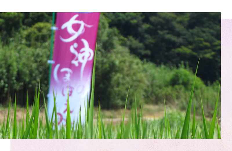 産地・銘柄