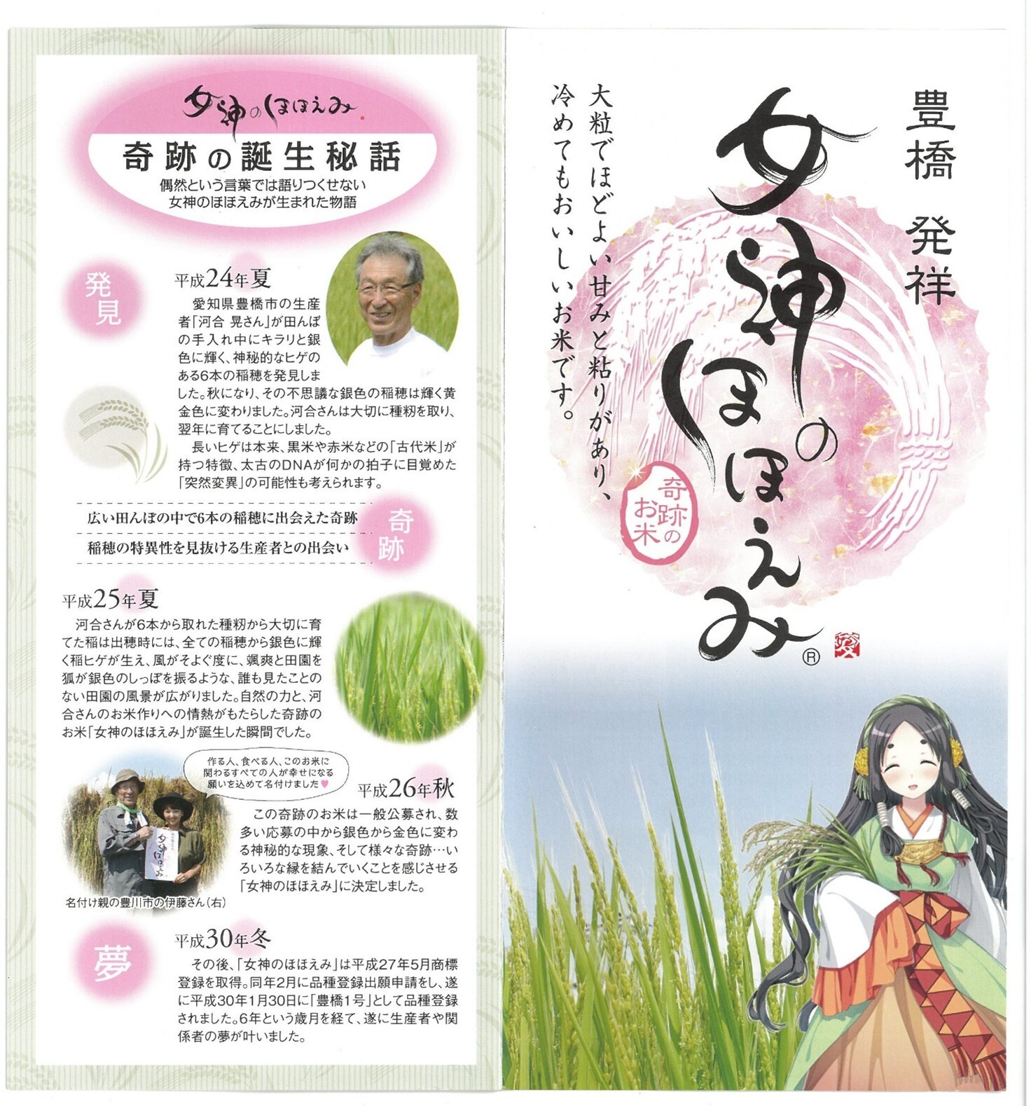 リーフレット